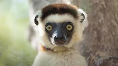 África: El Corazón Salvaje de la Tierra 1x3